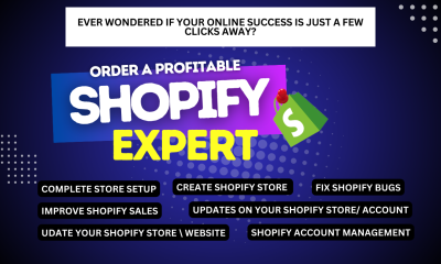 I will build you an automated dropshipping shopify store shopify website