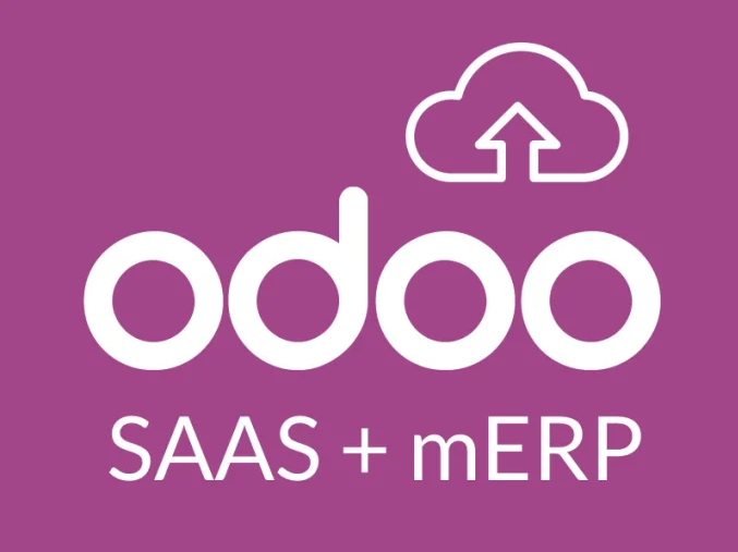 I will setup odoo v15, v14, v13, v12 on saas v2 for you to sell odoo ...