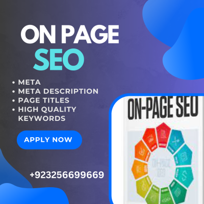 I'll write articles about on-page SEO to get high Google rankings.