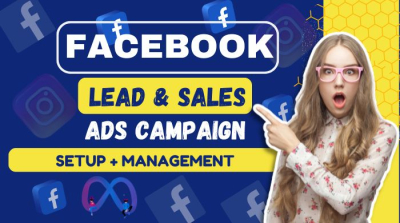 I will setup facebook ads and instagram ads campaign for leads and sales