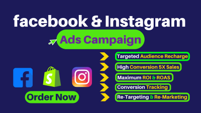 I will setup facebook and instagram ads for leads and sales