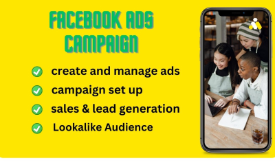 I will expert facebook ads strategist skyrocket your business with targeted campaigns