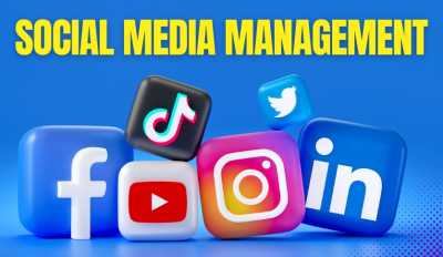 I will be your social media marketing manager and personal assistant