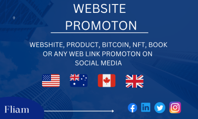 Product And Website Promotion