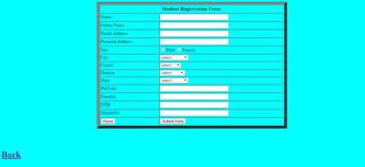 I create forms tables websites in HTML and CSS.