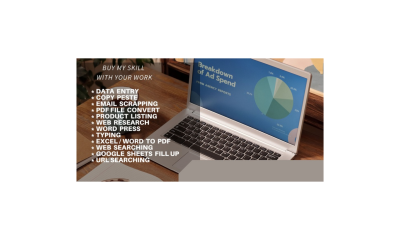 I will do Data entry, Copy paste, File convert and  web research in low cost.