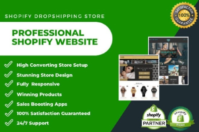 I will build shopify store or dropshipping ecommerce store, shopify website