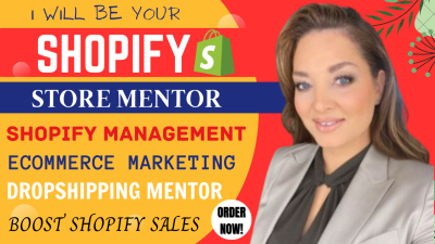 I will do shopify marketing mentor, shopify coach, shopify dropshipping mentor