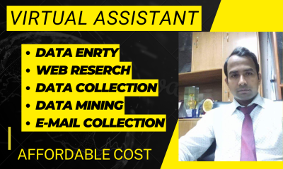 I will be your virtual assistant for data entry, data mining, copy paste, web research.