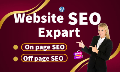 I will optimization WordPress website SEO.