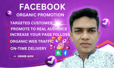 I will do facebook marketing and page promotion in USA