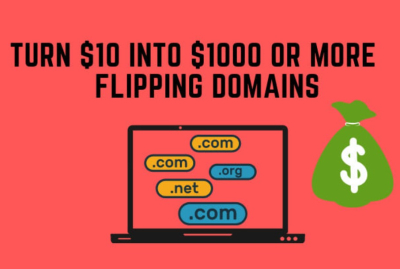 I will show you how to turn 10 dollars into 1000 flipping domains