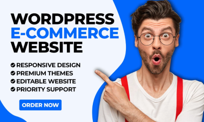 will create wordpress ecommerce website