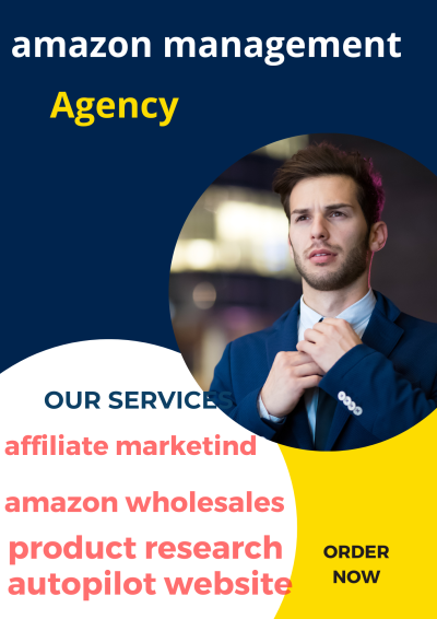 1 will do 6figure amazon autopilot website , amazon amazon store design passive income  and seo