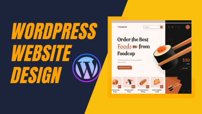 I will recreate or redesign any website using wordpress