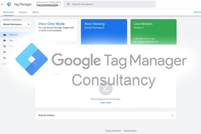 I will provide google tag manager consultancy