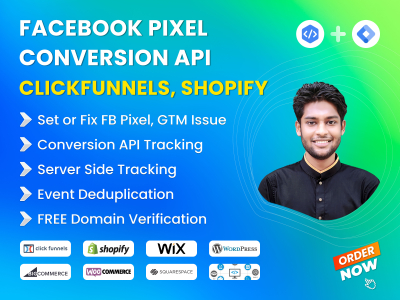 I will setup facebook pixel conversion API, capi with GTM on clickfunnels, shopify, wix