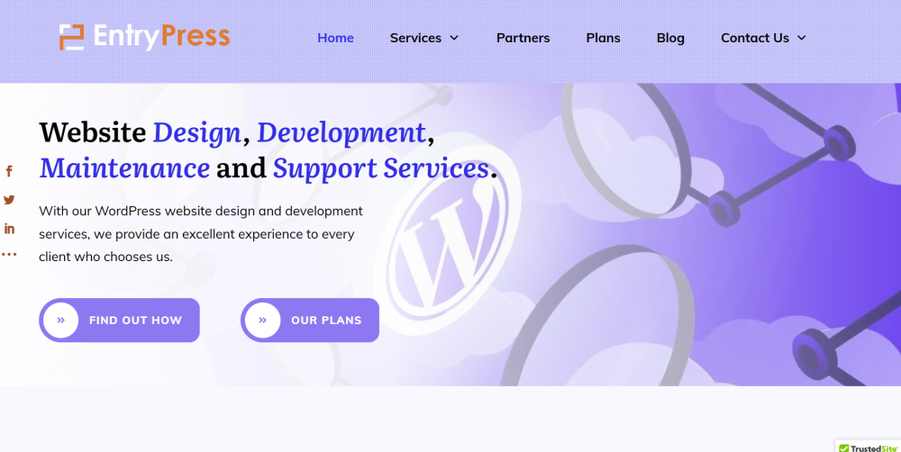 Website development