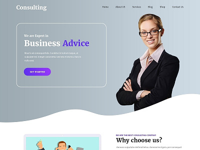 Business advice website designe