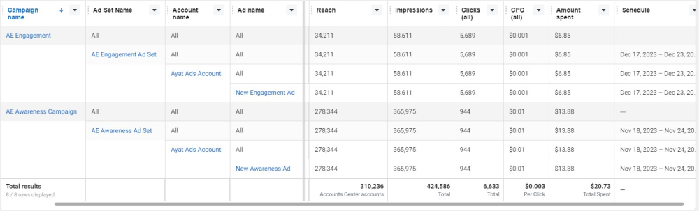 Successful completion of Facebook Paid Ad Campaigns